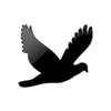 Captcha image 1924